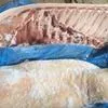 свинина от производителя Агро-Белогорье в Краснодаре 2
