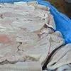 свинина от производителя Агро-Белогорье в Краснодаре 29