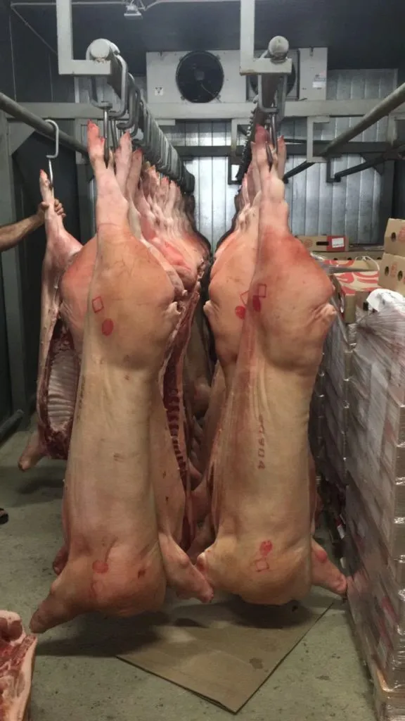 свинина от производителя Агро-Белогорье в Краснодаре 4