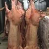 свинина от производителя Агро-Белогорье в Краснодаре 4