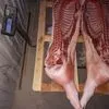 свинина от производителя Агро-Белогорье в Краснодаре 13