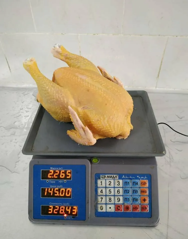 цыпленок бройлер фермерский в Краснодаре 2