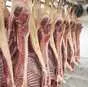 мясо свинины оптом и в розницу в Краснодаре и Краснодарском крае 10