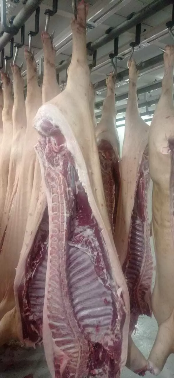 мясо свинины оптом и в розницу в Краснодаре и Краснодарском крае 8