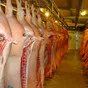 мясо туши свинина оптом в Краснодаре и Краснодарском крае
