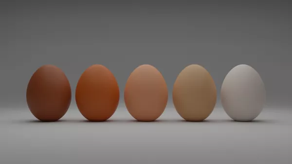 На Кубани за год произвели 1,6 млрд куриных яиц