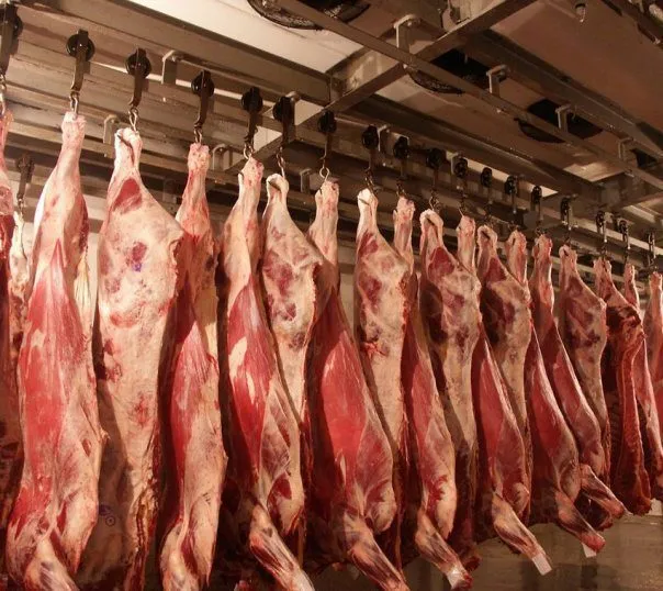 фотография продукта мясо говядина баранина