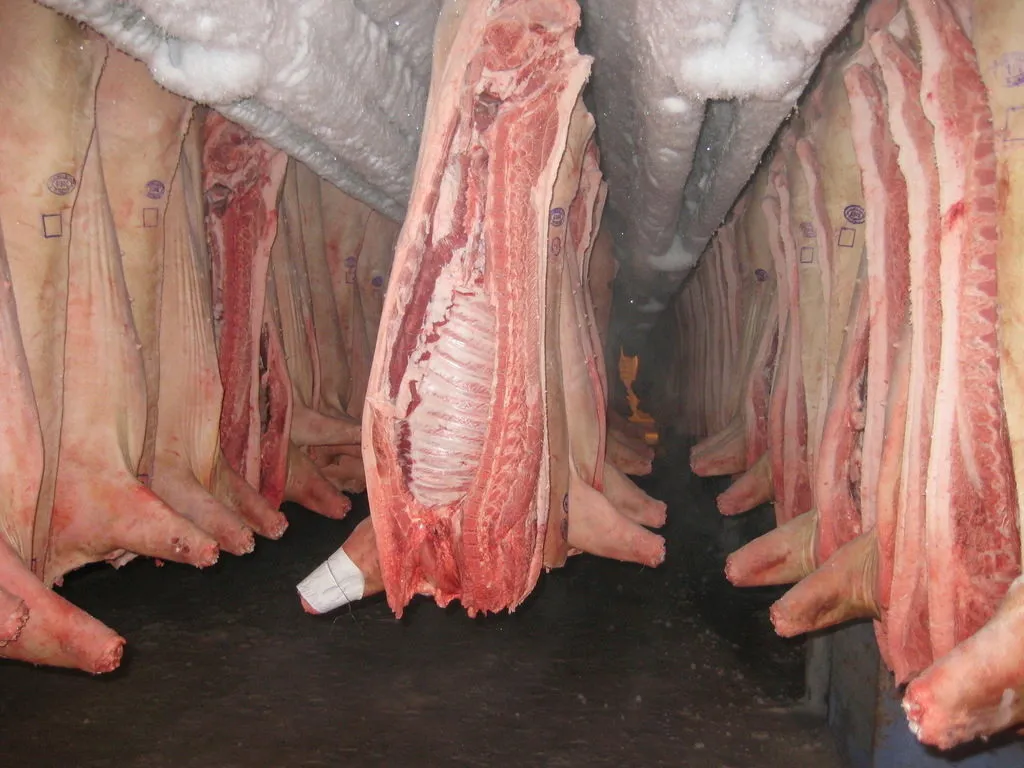 фотография продукта Мясо свинина в полутушах