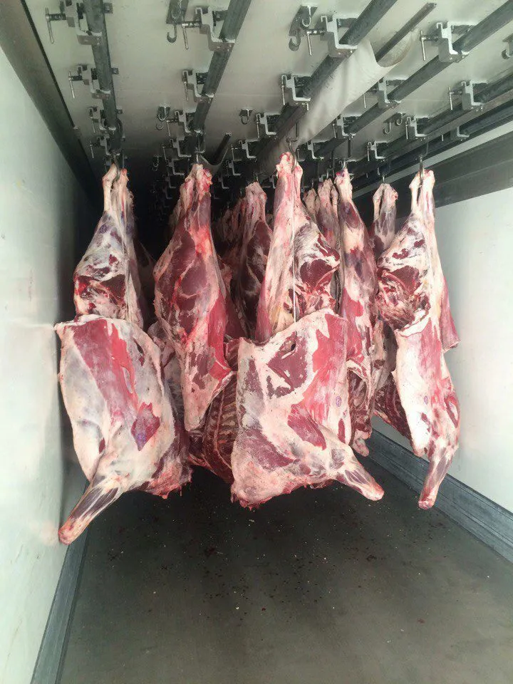 фотография продукта Перевезу мясо на подвесе,(20т)краснодар!