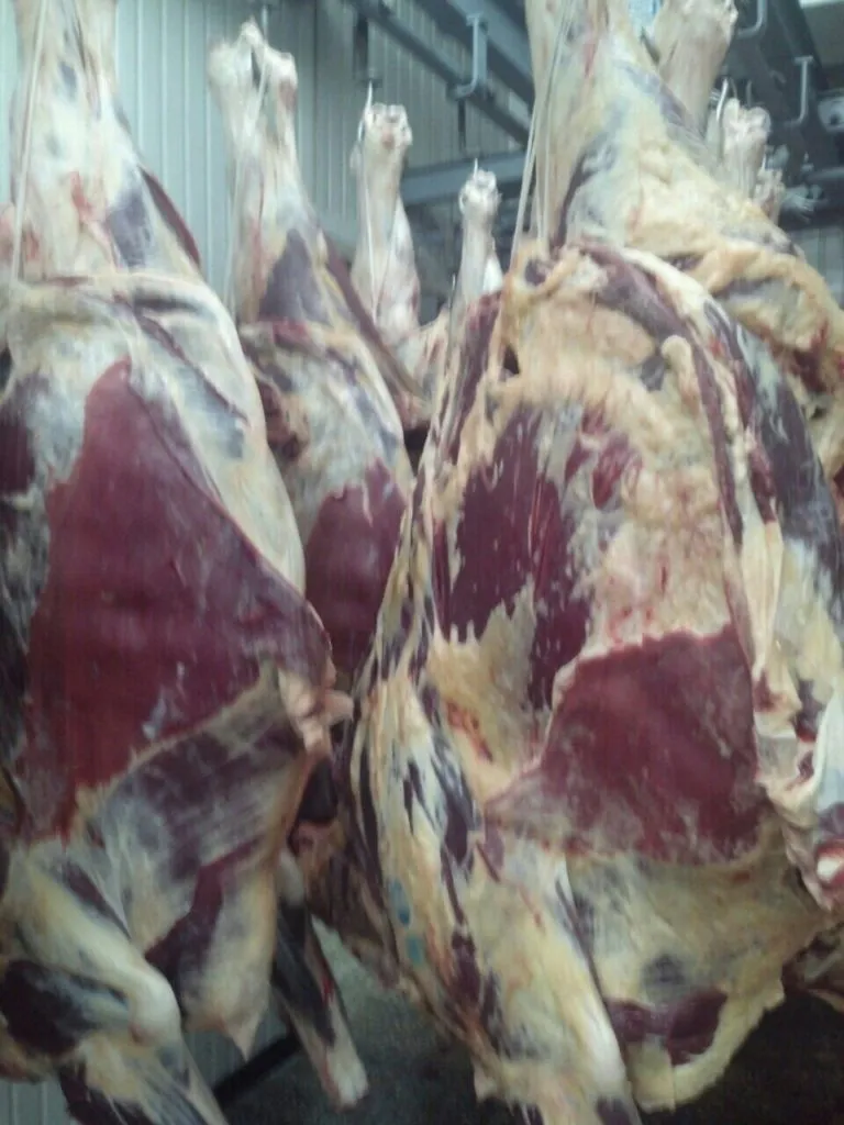 фотография продукта Мясо говядина с бойни 