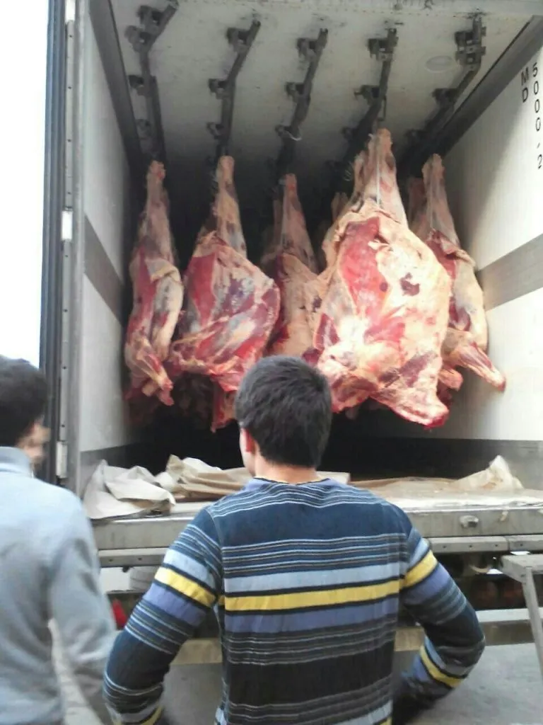 мясо говядина с бойни  в Краснодаре 4