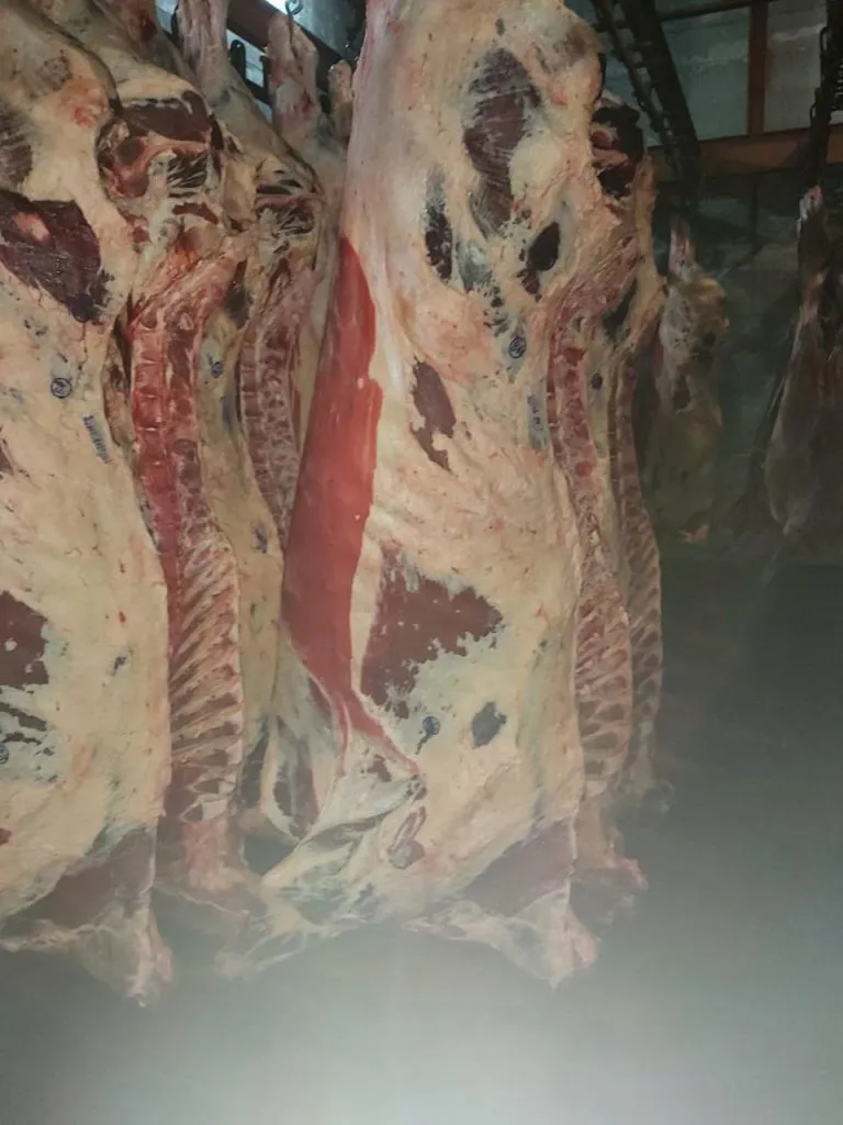 фотография продукта Говядина бык, корова четвертины охл.зам.