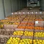 грузоперевозки рефрижераторами 1-20 тонн в Краснодаре