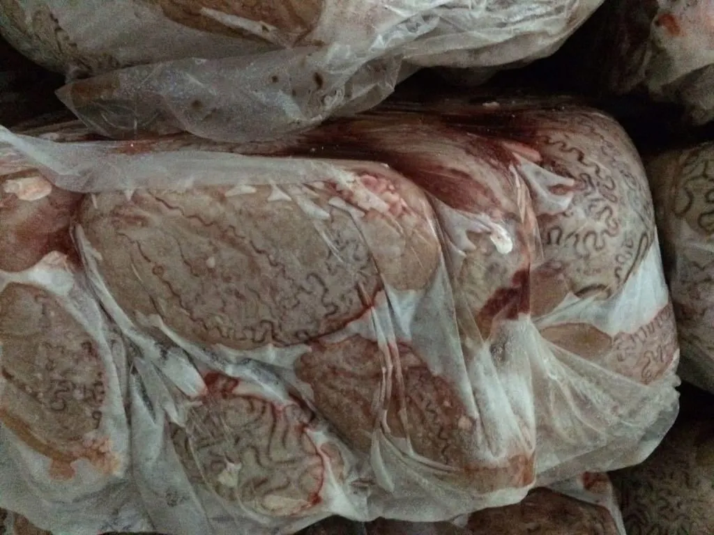 субпродукты говяжьи в больших объемах в Махачкале и Республике Дагестан 16