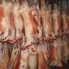 meat Mutton (frozen) CFR Syria в Барнауле 2