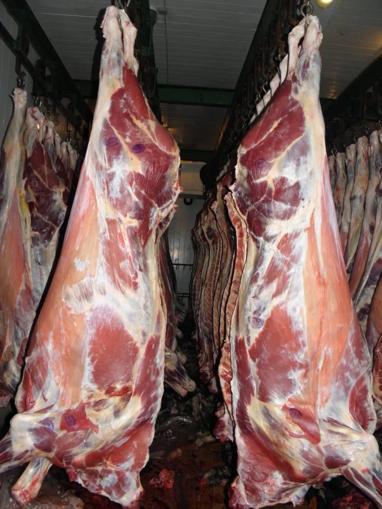 мясо говядины 1,2 категории в регионах. в Краснодаре 2