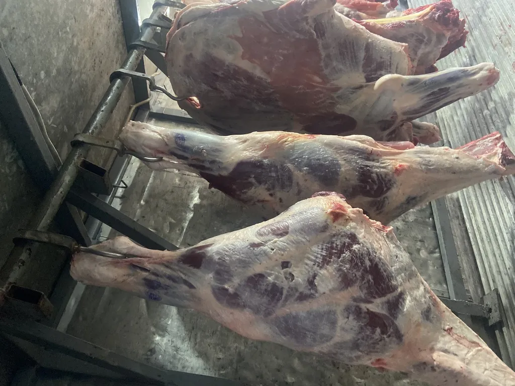мясо говядины полутушы в Краснодаре и Краснодарском крае