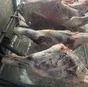 мясо говядины полутушы в Краснодаре и Краснодарском крае