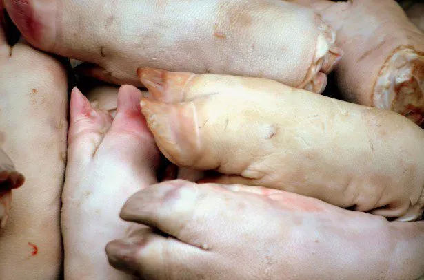 фотография продукта Ноги свиный 