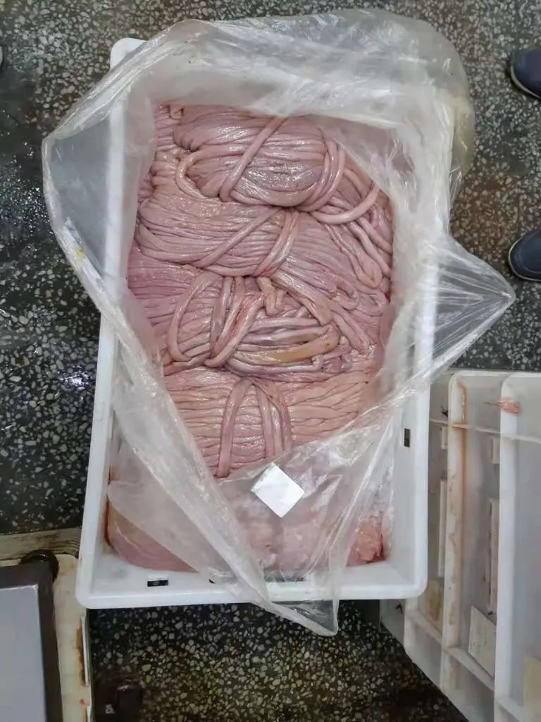 фотография продукта Свиные кишки 