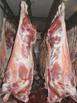 фотография продукта Мясо говядины полутуши от 20 тонн