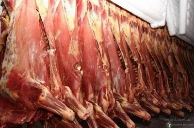 frozen beef meat to China в Барнауле 2