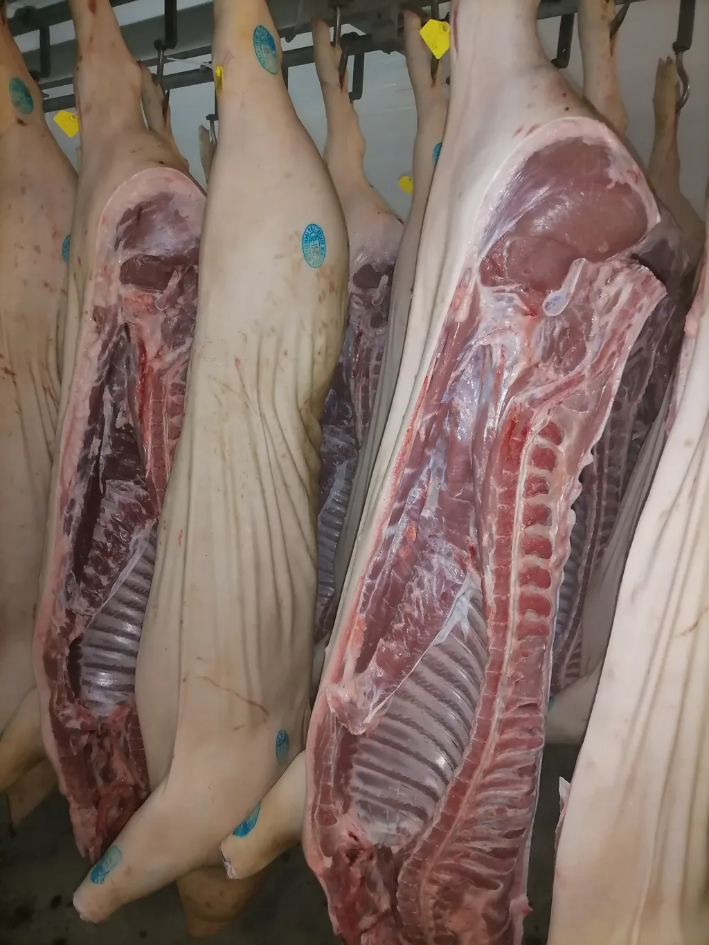фотография продукта Мясо свинины в полутушах