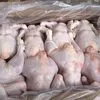 poultry Chilled (in box)  в Новороссийске