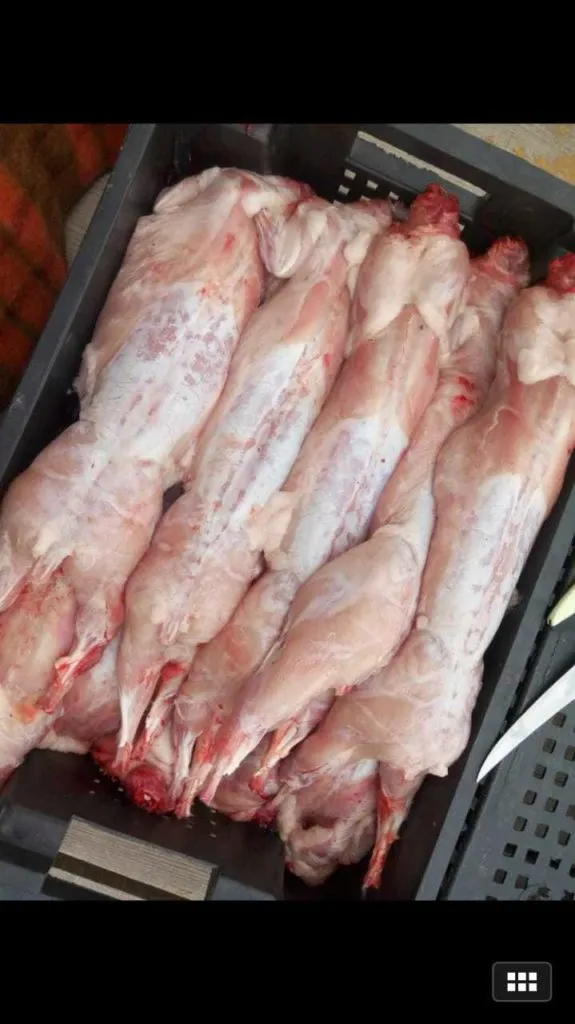продажа мясо кролика в Краснодаре 2