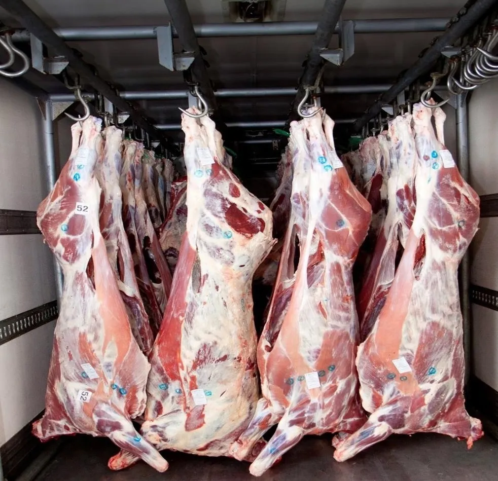 фотография продукта Реализуем мясо говядины в тушах