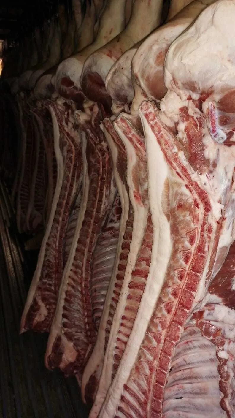 Фотография продукта Свинина полутушами в шкуре и обрезная