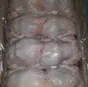 мясо курицы (мелкий опт  и опт)  в Краснодаре и Краснодарском крае