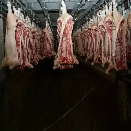 фотография продукта Мясо свинины оптом