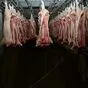 мясо свинины оптом в Краснодаре и Краснодарском крае