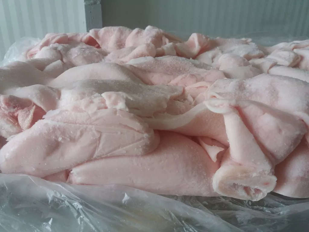 фотография продукта Шпик свиной боковой, хребтовой зам