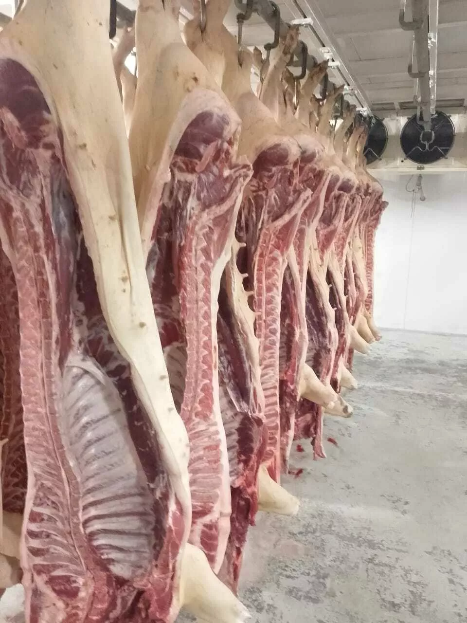 мясо свинины оптом и в розницу в Краснодаре и Краснодарском крае