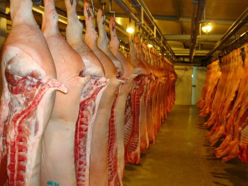 Фотография продукта Мясо туши свинина оптом
