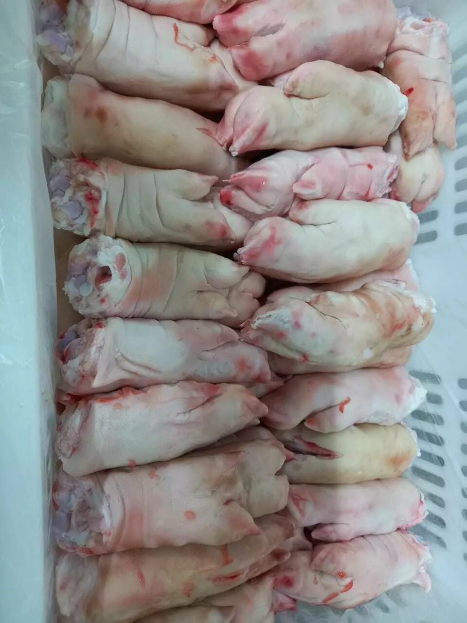 ноги передние свиные  в Усть-Лабинске